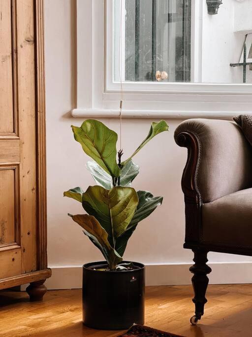 Stunning Victorian Mansion Apartment - Hosted By Agf Property - Free Parking Upon Request Okręg wyborczy Hove Zewnętrze zdjęcie
